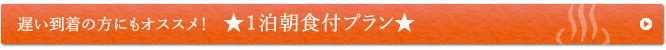 遅い到着の方にもオススメ！　★１泊朝食付プラン★